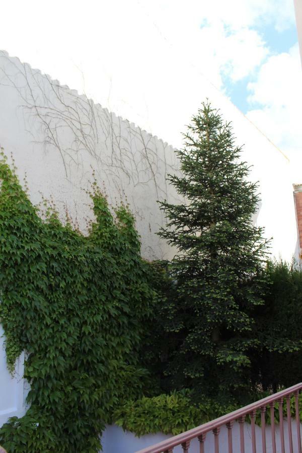 Villa Rural El Campillo de Rodalquilar Exterior foto